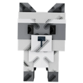 Raccoon
