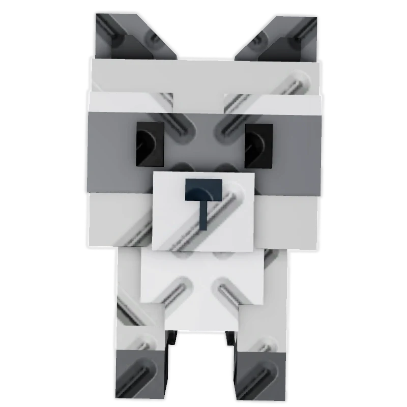 Raccoon