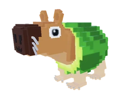 Pipi Avocado